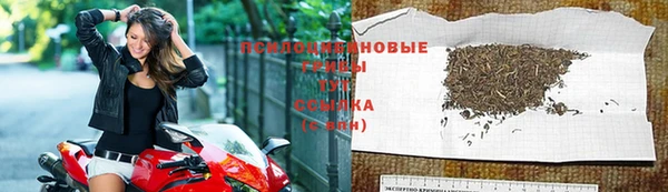 спиды Алексеевка