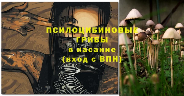 ПСИЛОЦИБИНОВЫЕ ГРИБЫ Алексин