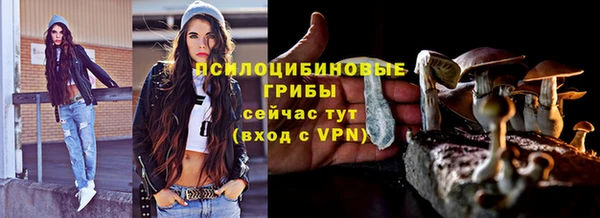 ПСИЛОЦИБИНОВЫЕ ГРИБЫ Алексин