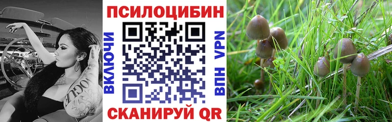 мега ссылки  сколько стоит  даркнет Telegram  Галлюциногенные грибы мицелий  Алзамай 